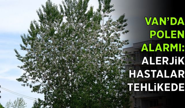 Van’da polen alarmı: Alerjik hastalar tehlike altında
