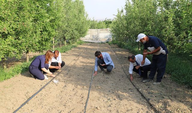 Sıhke Kavunu Tohumları Toprakla Buluştu