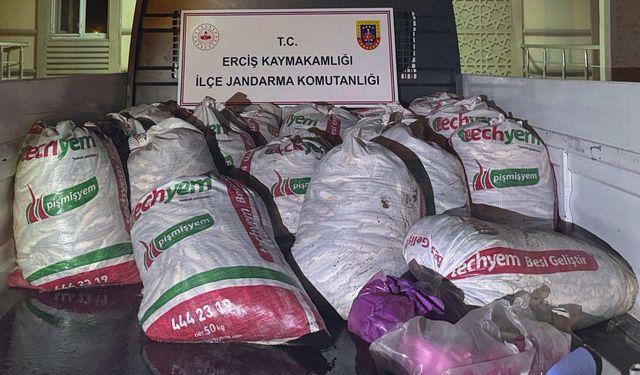 Erciş’te 2 ton kaçak Van Balığı ele geçirildi