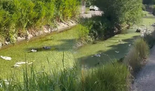Tarihi Şamran Kanalı çöplük içinde…
