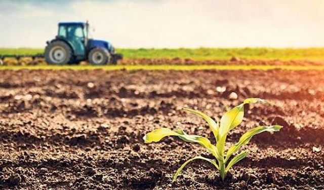 Van’a Stratejik Tarım Yatırımı
