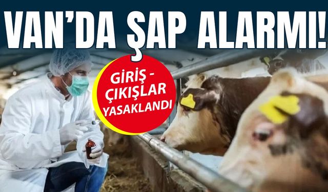 Van’da şap alarmı: İle giriş-çıkışlar tamamen yasaklandı!