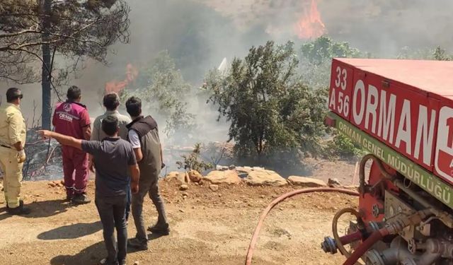 4 ildeki 5 orman yangını kontrol altına alındı