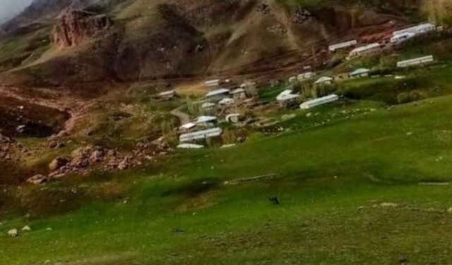 Van’daki bu mahalle bir haftadır susuz!