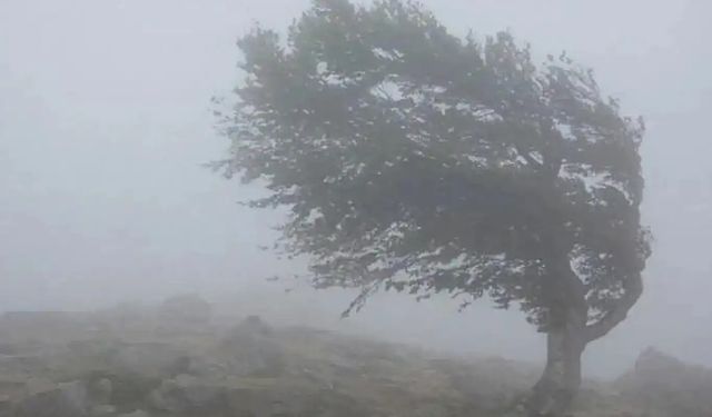 Meteorolojiden kuvvetli rüzgâr uyarısı
