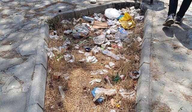 Van’da mesire alanı çöplüğe döndü!