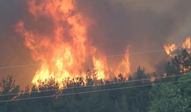 Orman yangınlarıyla ilgili olarak gözaltına alınan 3 kişi tutuklandı