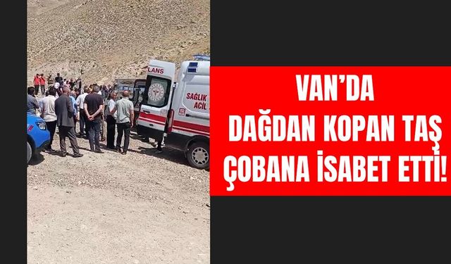 Van’da dağdan kopan taş çobana isabet etti!