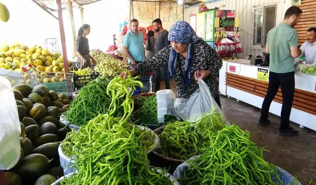 Van'da Hal fiyatları açıklandı – İşte en yüksek ve düşük fiyatlar (02 Ekim Perşembe)