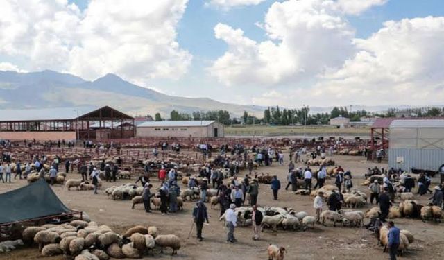 Van hayvan pazarı yeniden açıldı