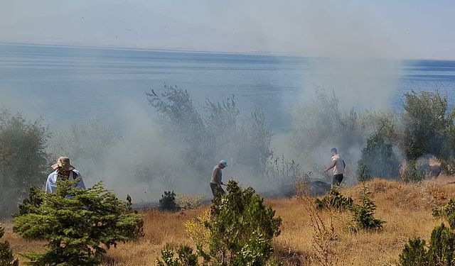 Mavi bayrak sahil bölgesinde korkutan yangın!