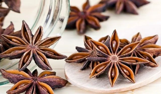 Anason Nedir? Ne İşe Yarar?