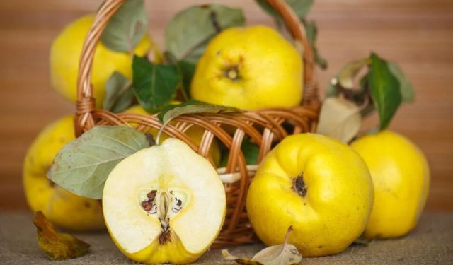 Ayva Yemenin Faydaları Nelerdir? Hangi Vitaminleri İçerir?