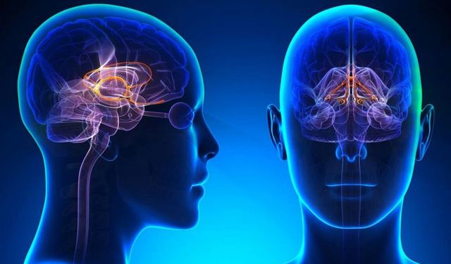 Dopamin Nedir? Dopamin Ne İşe Yarar?