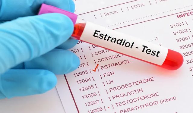 Estradiol Nedir? Kadınlarda Ne İşe Yarar?
