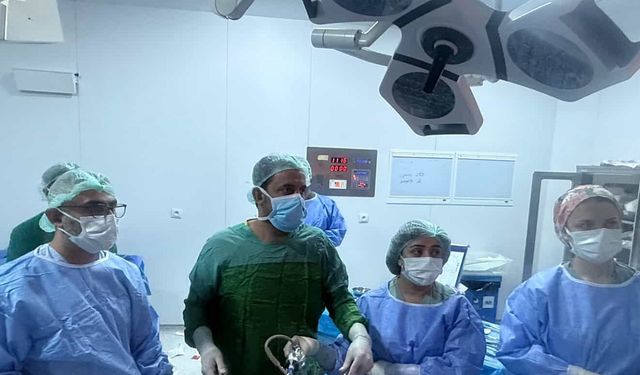 Vanlı doktor Prof. Dr. Sebahattin Çelik Van’a geri döndü