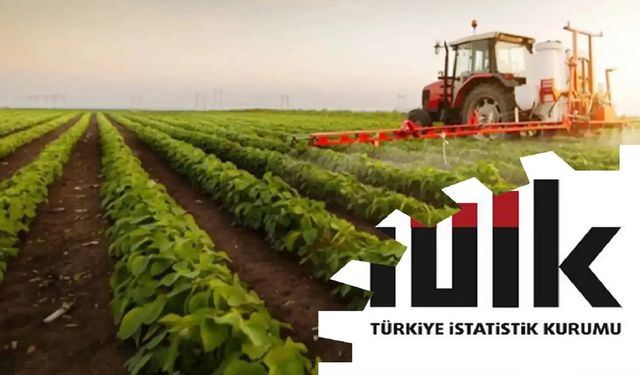Tarım üretici enflasyonu temmuzda aylık bazda düştü