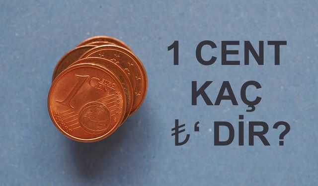 1 Cent Kaç TL eder?