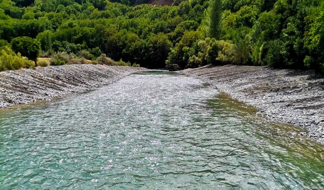 Van Çatak Çayı’nda taşkın koruma çalışmaları