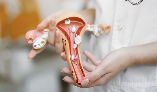 İdrar yolu enfeksiyonu ne iyi gelir?