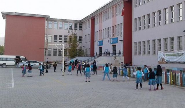 Van Mustafa Necati İlk ve Ortaokulu hakkında bilgi