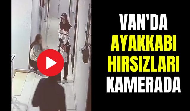 Van'da ayakkabı hırsızları kamerada