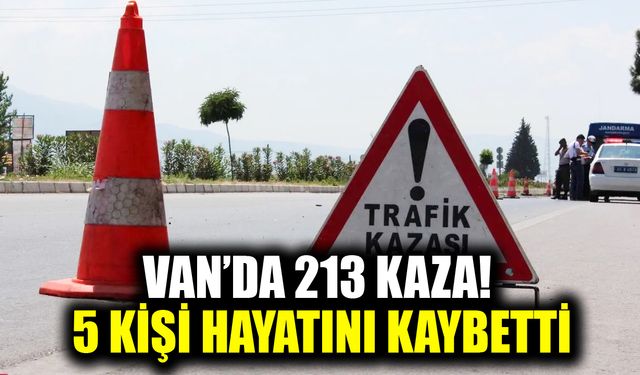 Van’da 213 kaza! 5 kişi hayatını kaybetti