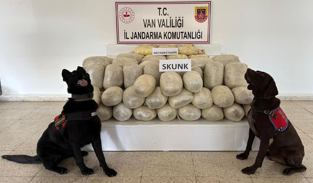 Başkale'de zehir tacirlerine operasyon!