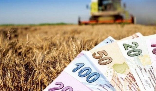 Çiftçiye Müjde: 2,8 Milyar Lira Tarımsal Destek Ödemeleri Hesaplarda!
