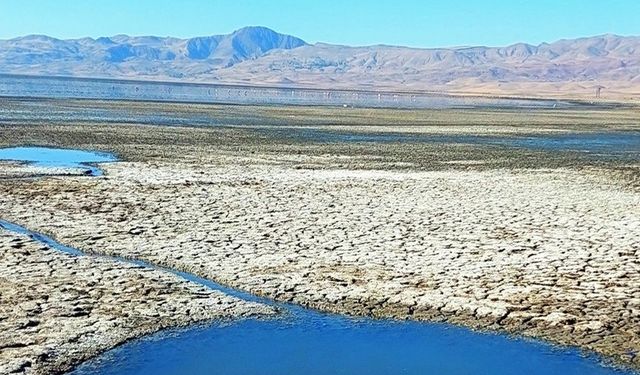 Erçek Gölü alarm veriyor! Kuraklık kuş cennetini tehdit ediyor