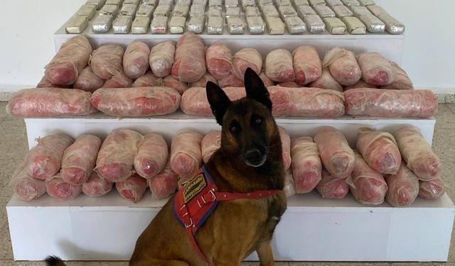 Van Başkale’de zehir tacirlerine darbe