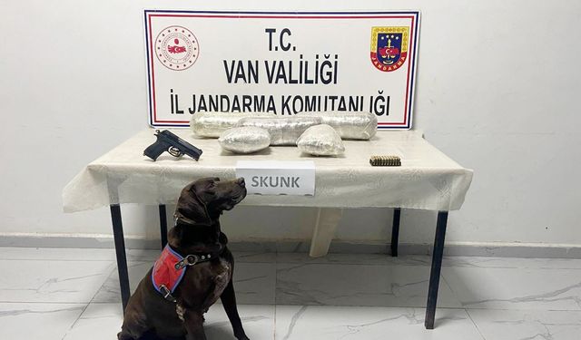 Van Başkale’de skunk, tabanca ve cephane ele geçirildi