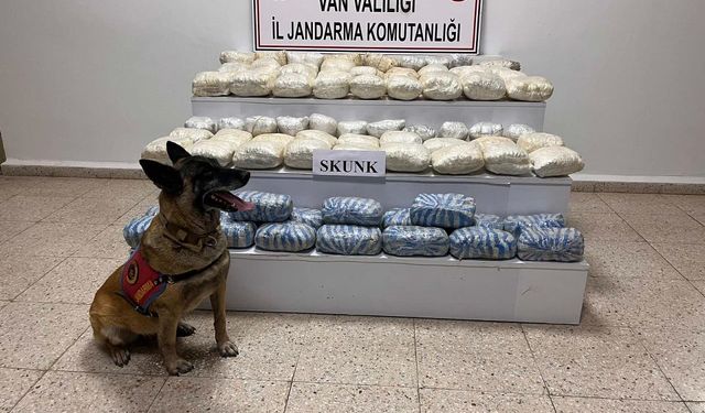 Van’da 47.8 kilo skunk ele geçirildi