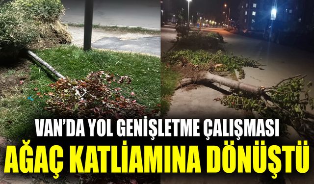 Van’da yol genişletme çalışması ağaç katliamına dönüştü