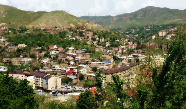 Bitlis’te Yeni haftada hava sıcaklığı nasıl olacak? İşte detaylar...