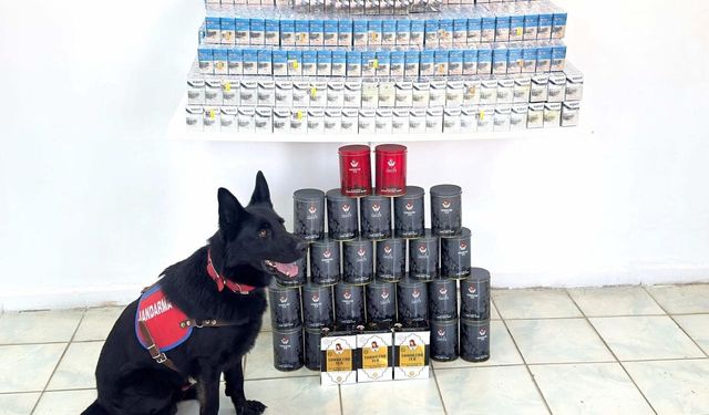 Erciş’te kaçak sigara ve çay ele geçirildi