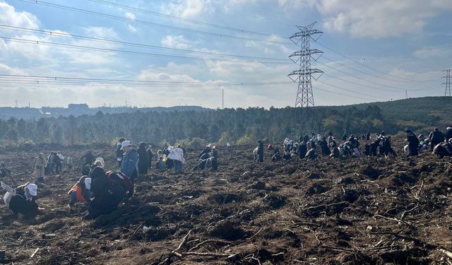 Gazze için 10 bin fidan dikildi