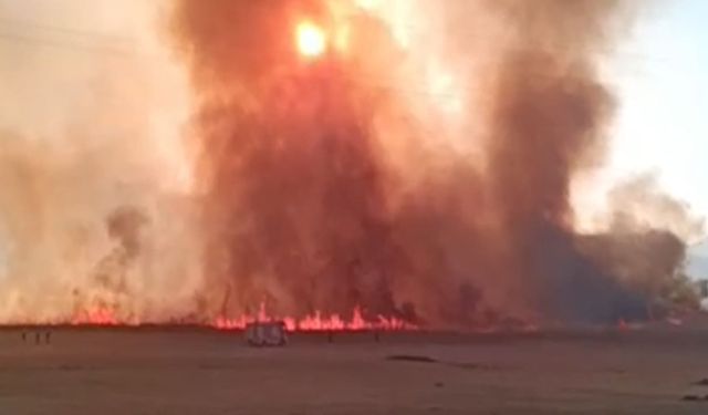 Hakkari’de büyük yangın! Yerleşim yerlerine doğru ilerliyor