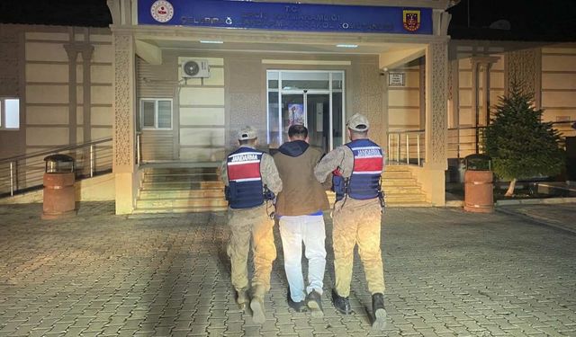 Van’da hırsızlık planı tutmadı