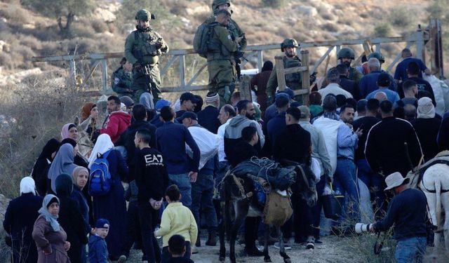 İşgal rejimi, Nablus’ta çiftçilerin zeytinliklere erişimini engelledi