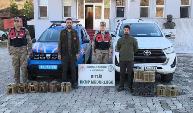 Kaçak avcılığa geçit yok! 19 kınalı keklik kurtarıldı