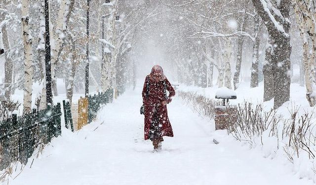Meteoroloji’den Bitlis'e Kar Yağış Uyarısı!