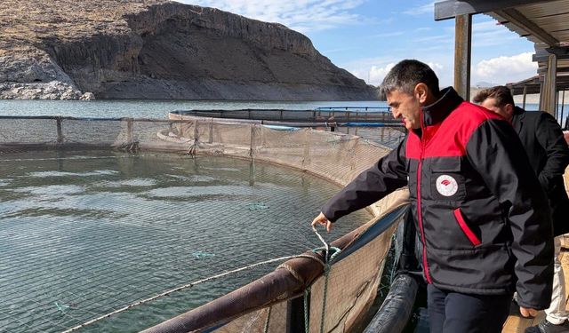 Van’da kırsal desteklerle alabalık üretimi güçleniyor