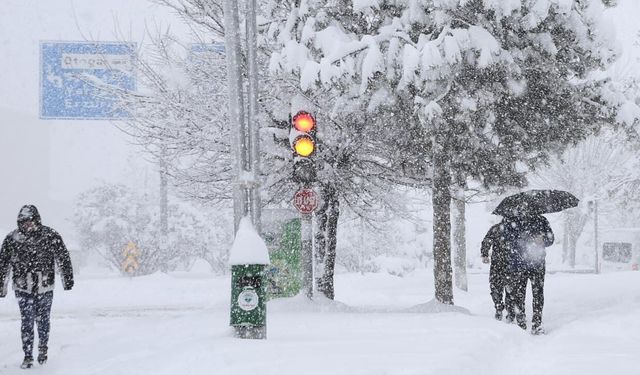 Gürpınar’da kuvvetli kar yağışı uyarısı
