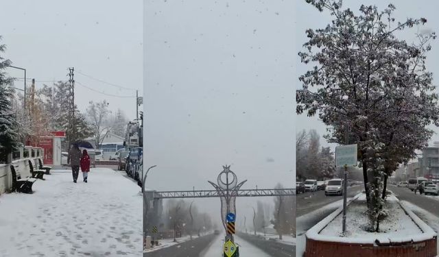 Muradiye’de kar yağışı