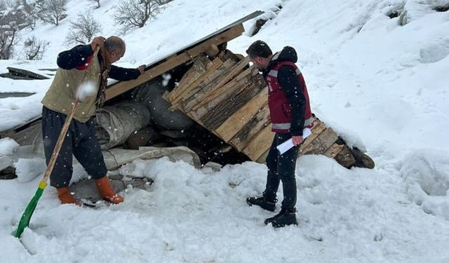 Van’da kar ve çığ sonrası hasar tespit çalışmaları yapıldı