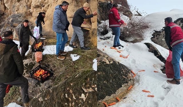 Muradiye’de yaban hayvanları için doğaya yem bırakıldı