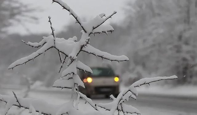 Özalp’ta buzlanma ve don uyarısı