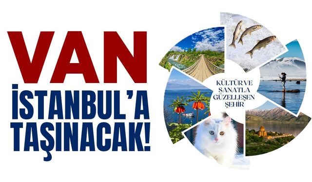 Van İstanbul’a taşınacak!