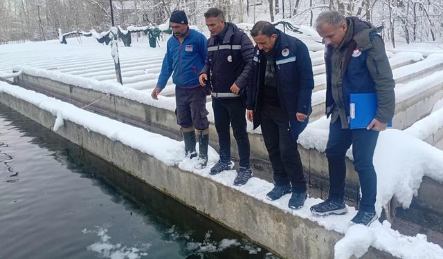 Van’da alabalık üretim tesislerine sıkı denetim